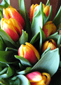mini-puzzle exclusif Imajeux photographie d'un bouquet de tulipes jaunes et rouges